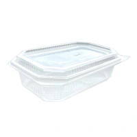 Plastic Container with Attached (Hinged) Lid 1000cc - 147x225x65mm - 300 pcs/box.