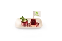 Flag Picks Vegan - 500 pcs/box.