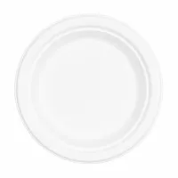 Bagasse Plate - ø23cm - 500 pcs/box