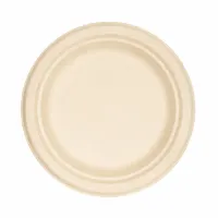 Bagasse Plate - ø23cm - 500 pcs/box