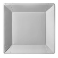 Cardboard tray - 225x225x18mm - rectangular - 500 pcs/box