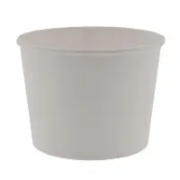 Customize 3000ml Bucket