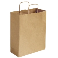 Paper Bag with Twisted Handle (240x110x310mm) - 250 pcs/box