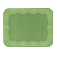 Vampirella® Foam Tray 225x175x25mm Green 3S/XPS - 800pcs.