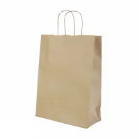Paper Bag with Twisted Handle (240x110x310mm) - 250 pcs/box