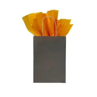 Paper Bag Twisted Handle 190 + 80 x 220 mm Gray - 250 pcs/box
