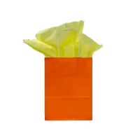 Paper bag twisted handle 190 + 80 x 220 mm orange - 250 pcs/ds