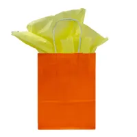 Paper Bag Twisted Handle 320 + 120 x 420 mm Orange - 250 pcs/box