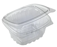 Plastic Container with Fixed (Hinged) Lid 500cc - 480 pcs/box.