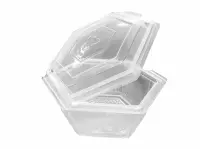 Plastic Container with Fixed (Flip) Lid 250cc - 500 pcs/box.