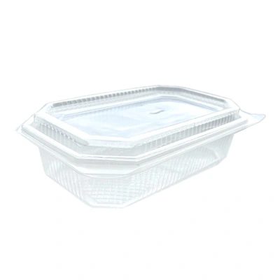 Plastic Container with Attached (Hinged) Lid 1000cc - 147x225x65mm - 300 pcs/box.