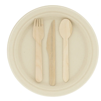 Combo Set Medium (3 x 200 Cutlery/200 Plates)
