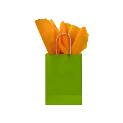 Paper bag twisted handle 190 + 80 x 220 mm green - 250 pcs/ds