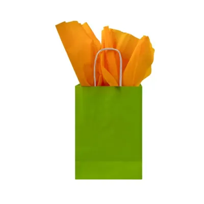 Paper Bag Twisted Handle 220 + 100 x 300 mm Apple Green - 250 pcs/box