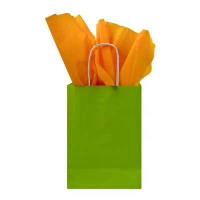 Paper Bag Twisted Handle 320 + 120 x 420 mm Green - 250 pcs/box