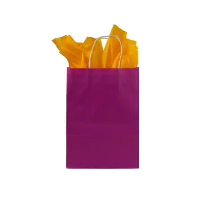 Paper Bag Twisted Handle 190 + 80 x 220 mm Pink - 250pcs/box