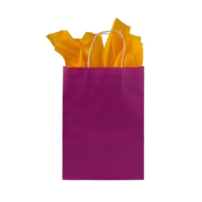 Paper Bag Twisted Handle 220 + 100 x 300 mm Pink - 250 pcs/box