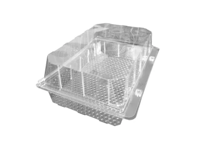 Pastry/Buns Blister APET 9.3x6.5x3.4in - 300 pcs/box