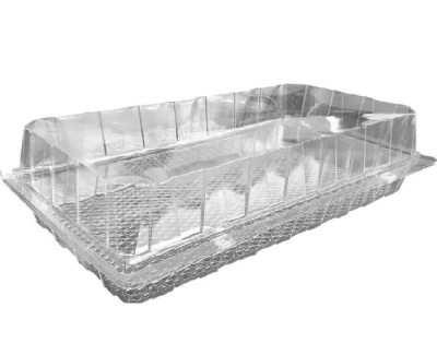 Blister for Pastries/Buns APET 34.3x19x5.5cm - 150 pcs/box.