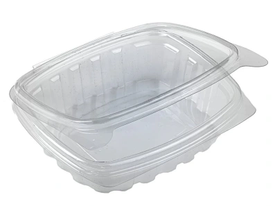 Plastic Container with Fixed (Flip) Lid 250cc - 480 pcs/box