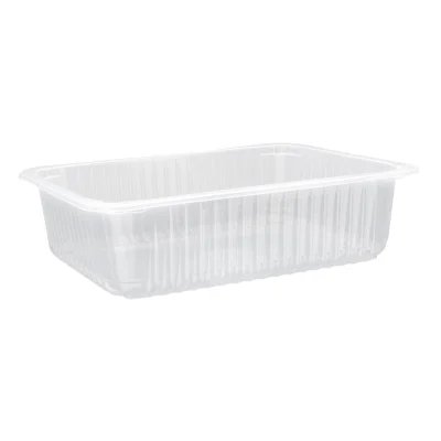 Plastic Container Transparent PP 227x178x60mm - 450pcs/ds.