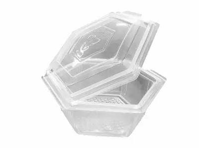 Plastic Container with Fixed (Flip) Lid 250cc - 500 pcs/box.